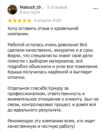 2GIS Review Screenshot