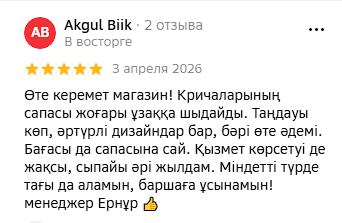 2GIS Review Screenshot